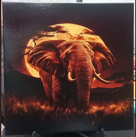 Laser engraving by Diego Perez, made with DithX
